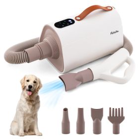 Dog Hair Blower with Negative Ion Function and Adjustable Temperature