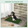 Dog Potty Training
