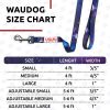 Nylon Dog Leash for Small Dogs and Medium Dogs 4 Ft x 1 inch Wide Heavy Duty Purple Nasa Color