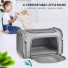 Pet Carrier for Dogs and Puppies, Gray, (Suitable For Daily Travel), 22 Lbs
