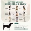 Pet Sofa Dog Couch for Small to Medium Sized Dogs with Soft Cushion, Removable Washable Cover, Velvet Touch, Grey