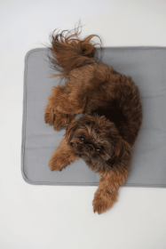 Thera-Pawz Warming Pad (Size: small)