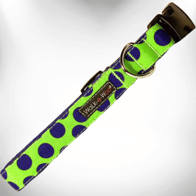 Polka Dot Dog - Neon Collars (Color: Blue Dot on Green, Size: L 1" width fits 14-25" neck)
