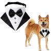 Wedding suit dog collar triangle scarf