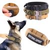 Adjustable Nylon Outdoor Dog Collars For Medium Large Dogs