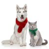 Pet knit Christmas Creative Teddy Scarf