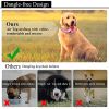 Reflective AirTag Dog Collar