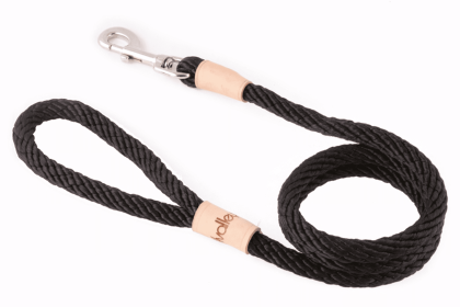 Sport Snap Lead (4 ft  x 1/2in or 13mm) (Size: 4 ft  x 1/2in or 13mm)