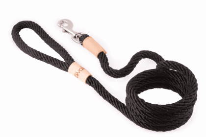 Sport Snap Lead (6 ft  x 1/2in or 13mm) (Size: 6 ft  x 1/2in or 13mm)