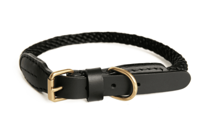 Rope and Leather Collar with Buckle (20 in) (Size: 20 in)