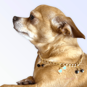 My Summertime Aviator Charm Toggle Necklace (Size: X Small)