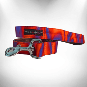 Ombre Dog Leads (Size: REGULAR Lead 1" width- 5' length)