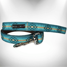 RaDog Leash (Color: Turquoise Sky, Size: THIN 5/8" width- 5' long)