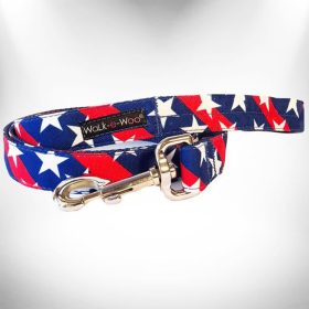 Stars & Stripes Dog Leads (Size: THIN Lead 5/8" width- 5' length)