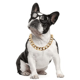 Dog Chain Collar Keji Teddy Fadou Gold Necklace (Color: golden, Size: 35cm necklace +7cm adjustment chain)