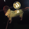 Golden hair raincoat dog Samoyed medium-sized large dog border dog raincoat
