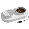 Pet Feeder and Drinking Water Bowl