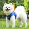 No Pull Pet Harness Vest For Dog: Step-in Puppy Harness For Small Medium Dogs; Reflective Strip