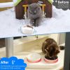 Pet Feeder and Drinking Water Bowl