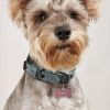 Metal Pet ID Tags With Pink Bone Shape